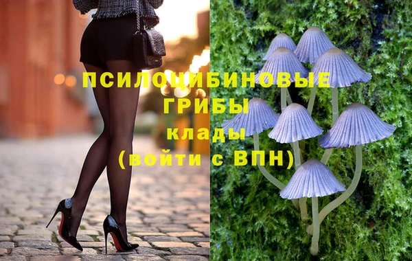 прущие крисы Верхний Тагил