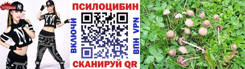 Псилоцибиновые грибы Cubensis  ОМГ ОМГ как войти  Воскресенск  купить наркоту 